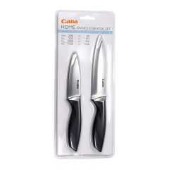 2 pieces of fruit knives