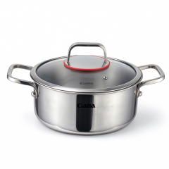 Stainless steel pot