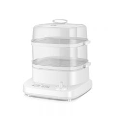Electric Steamer
