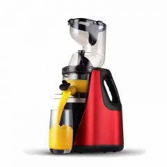 Slow juicer