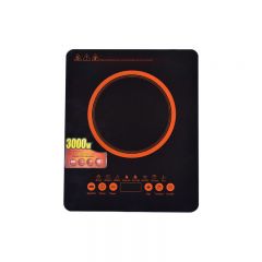 Induction cooker