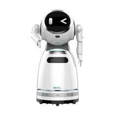 Intelligent commercial service robot - Wheeled with two arms. Intelligent exhibition hall guide. Reception and greeting interactive robot.