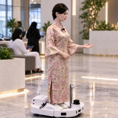 Humanoid robot