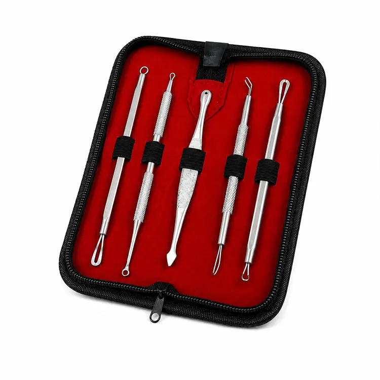 Stainless Steel 5-piece Black Head Remover Extractor Tool Set Double-ended Loop Tips Spatula Storage Case For Facial Skincare