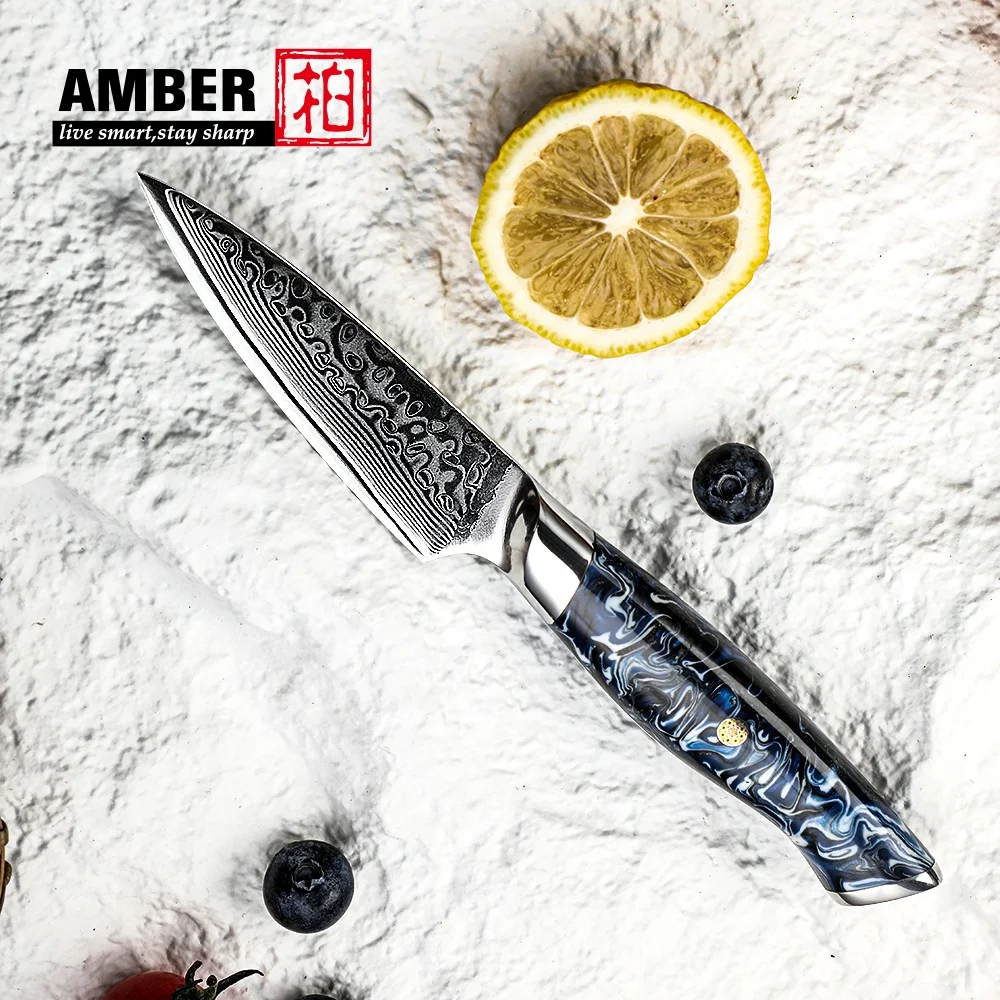 Amber Wholesale Blue Resin Handle 67 Layers Vg10 Damascus Steel Knives Kitchen Knife Fruit Kitchen Paring Knifes